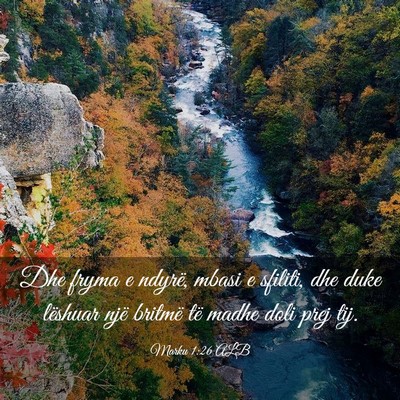 Picture 03 - Marku 1:26 ALB - Dhe fryma e ndyrë, mbasi e sfiliti, dhe duke - Bible Verse Picture