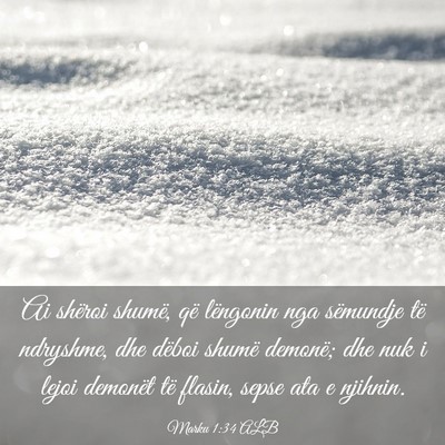 Picture 03 - Marku 1:34 ALB - Ai shëroi shumë, që lëngonin nga sëmundje - Bible Verse Picture