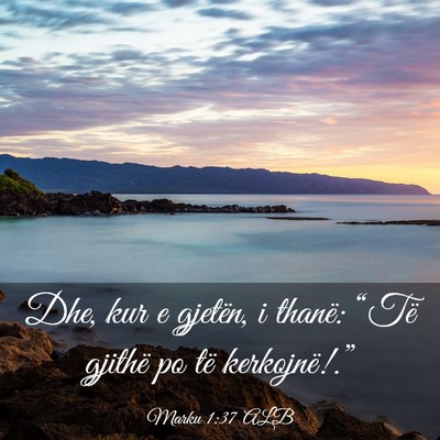 Picture 03 - Marku 1:37 ALB - Dhe, kur e gjetën, i thanë: “Të gjithë po - Bible Verse Picture