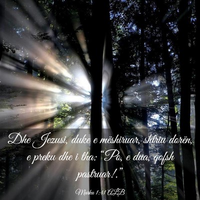 Picture 03 - Marku 1:41 ALB - Dhe Jezusi, duke e mëshiruar, shtriu dorën, e - Bible Verse Picture