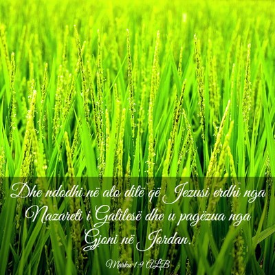 Picture 03 - Marku 1:9 ALB - Dhe ndodhi në ato ditë që Jezusi erdhi nga - Bible Verse Picture