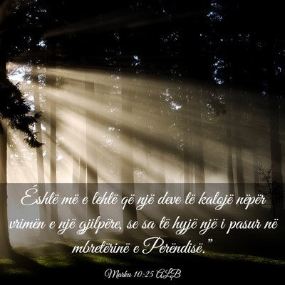 Picture 03 - Marku 10:25 ALB - Éshtë më e lehtë që një deve të kalojë - Bible Verse Picture
