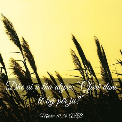 Picture 03 - Marku 10:36 ALB - Dhe ai u tha atyre: “Çfarë doni të bëj për - Bible Verse Picture