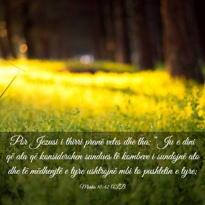 Picture 03 - Marku 10:42 ALB - Por Jezusi i thirri pranë vetes dhe tha: “Ju e - Bible Verse Picture