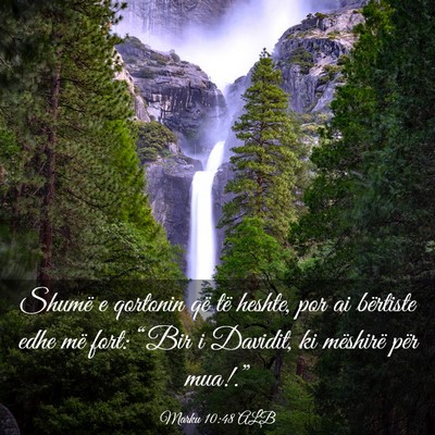 Picture 03 - Marku 10:48 ALB - Shumë e qortonin që të heshte, por ai - Bible Verse Picture