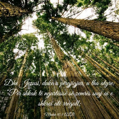 Picture 03 - Marku 10:5 ALB - Dhe Jezusi, duke u përgjigjur, u tha atyre: - Bible Verse Picture
