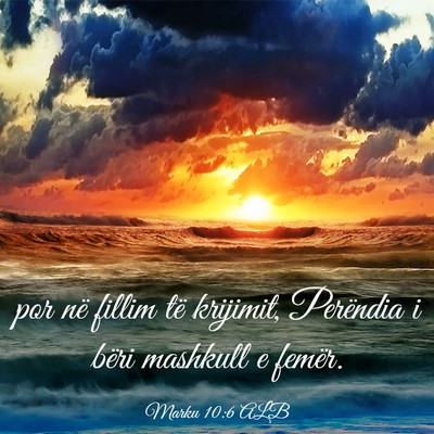 Picture 03 - Marku 10:6 ALB - por në fillim të krijimit, Perëndia i bëri - Bible Verse Picture