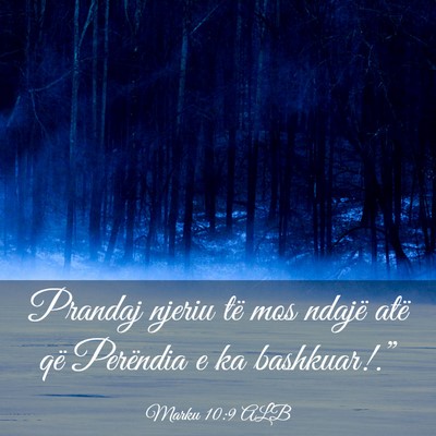 Picture 03 - Marku 10:9 ALB - Prandaj njeriu të mos ndajë atë që Perëndia - Bible Verse Picture