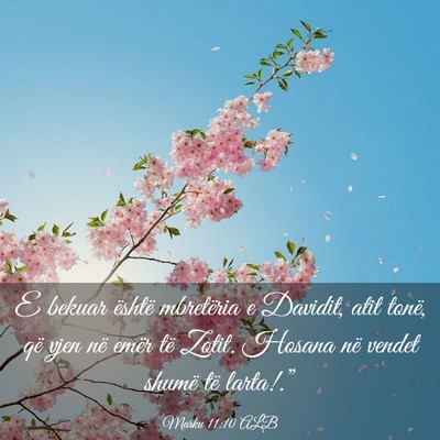 Picture 03 - Marku 11:10 ALB - E bekuar është mbretëria e Davidit, atit - Bible Verse Picture