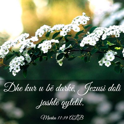 Picture 03 - Marku 11:19 ALB - Dhe kur u bë darkë, Jezusi doli jashtë - Bible Verse Picture