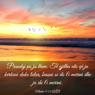 Picture 03 - Marku 11:24 ALB - Prandaj po ju them: Të gjitha ato që ju - Bible Verse Picture