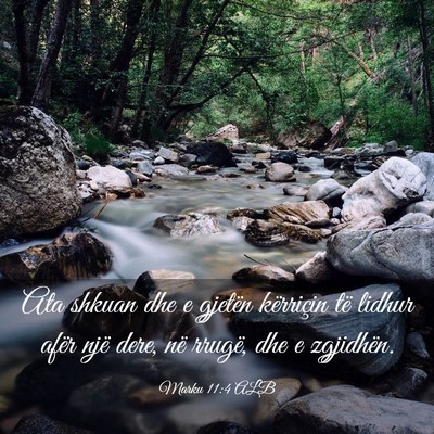 Picture 03 - Marku 11:4 ALB - Ata shkuan dhe e gjetën kërriçin të lidhur - Bible Verse Picture