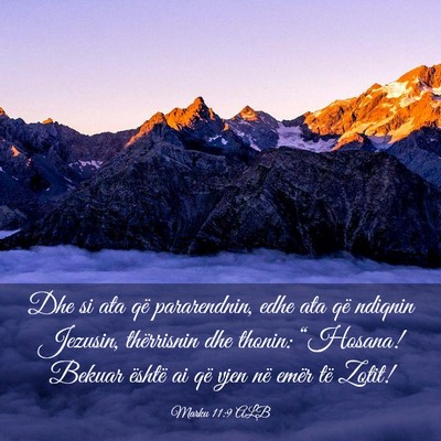Picture 03 - Marku 11:9 ALB - Dhe si ata që pararendnin, edhe ata që ndiqnin - Bible Verse Picture