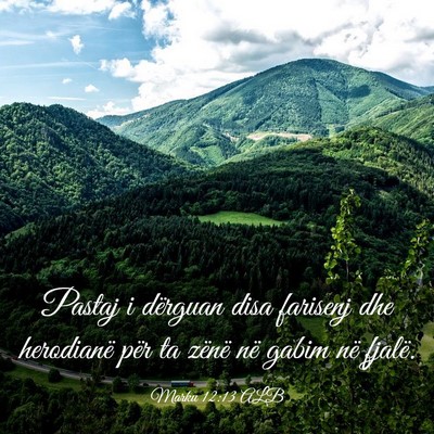 Picture 03 - Marku 12:13 ALB - Pastaj i dërguan disa farisenj dhe herodianë - Bible Verse Picture