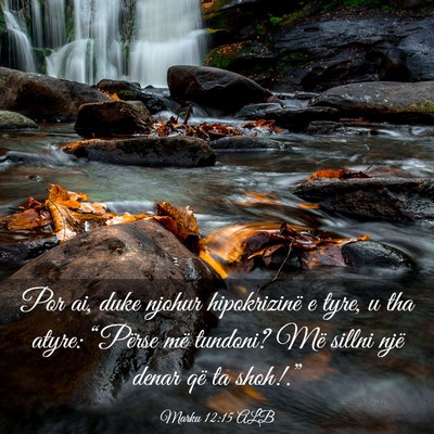 Picture 03 - Marku 12:15 ALB - Por ai, duke njohur hipokrizinë e tyre, u tha - Bible Verse Picture