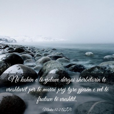 Picture 03 - Marku 12:2 ALB - Në kohën e të vjelave dërgoi shërbëtorin te - Bible Verse Picture