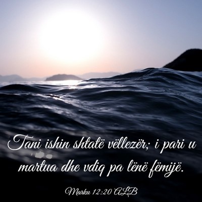 Picture 03 - Marku 12:20 ALB - Tani ishin shtatë vëllezër; i pari u martua - Bible Verse Picture