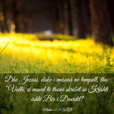 Picture 03 - Marku 12:35 ALB - Dhe Jezusi, duke i mësuar në tempull, tha: - Bible Verse Picture