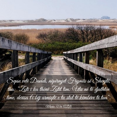 Picture 03 - Marku 12:36 ALB - Sepse vetë Davidi, nëpërmjet Frymës së - Bible Verse Picture
