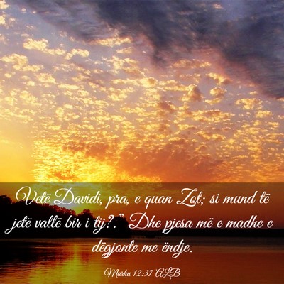 Picture 03 - Marku 12:37 ALB - Vetë Davidi, pra, e quan Zot; si mund të jetë - Bible Verse Picture