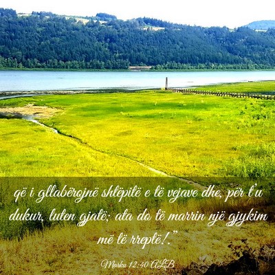 Picture 03 - Marku 12:40 ALB - që i gllabërojnë shtëpitë e të vejave dhe, - Bible Verse Picture