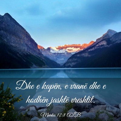 Picture 03 - Marku 12:8 ALB - Dhe e kapën, e vranë dhe e hodhën jashtë - Bible Verse Picture
