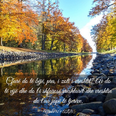 Picture 03 - Marku 12:9 ALB - Çfarë do të bëjë, pra, i zoti i vreshtit? Ai - Bible Verse Picture