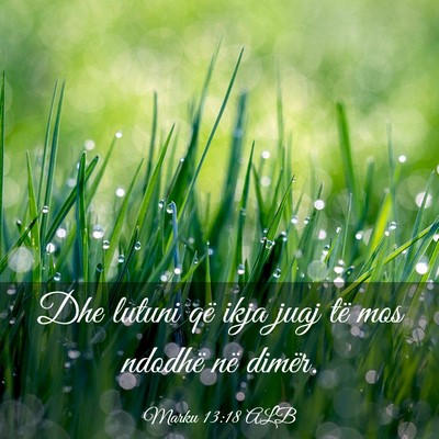 Picture 03 - Marku 13:18 ALB - Dhe lutuni që ikja juaj të mos ndodhë në - Bible Verse Picture