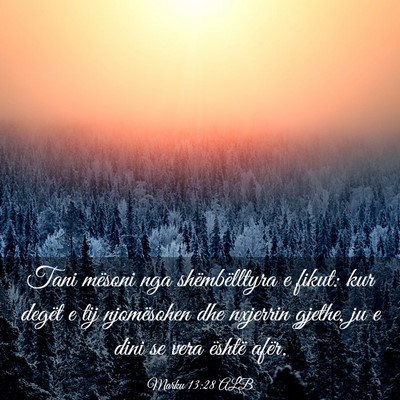 Picture 03 - Marku 13:28 ALB - Tani mësoni nga shëmbëlltyra e fikut: kur - Bible Verse Picture