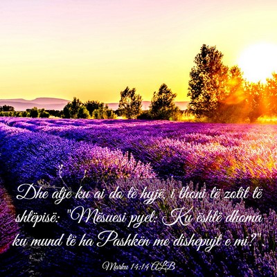 Picture 03 - Marku 14:14 ALB - Dhe atje ku ai do të hyjë, i thoni të zotit - Bible Verse Picture