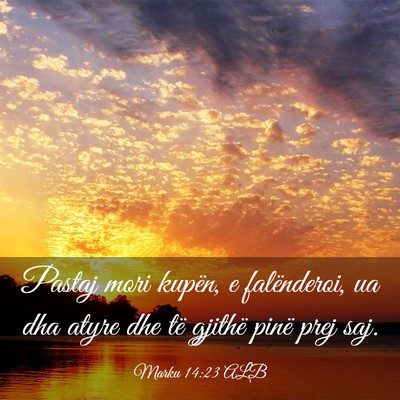 Picture 03 - Marku 14:23 ALB - Pastaj mori kupën, e falënderoi, ua dha atyre - Bible Verse Picture