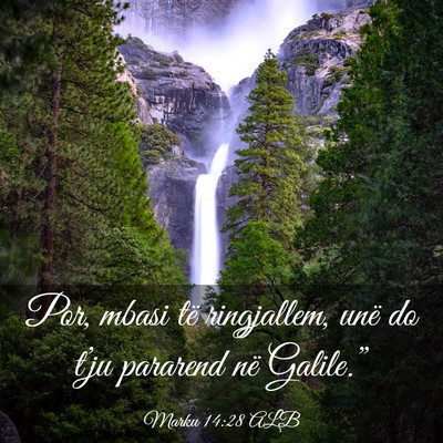 Picture 03 - Marku 14:28 ALB - Por, mbasi të ringjallem, unë do t’ju - Bible Verse Picture