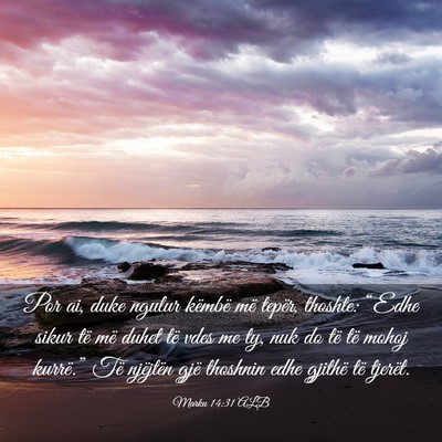Picture 03 - Marku 14:31 ALB - Por ai, duke ngulur këmbë më tepër, thoshte: - Bible Verse Picture