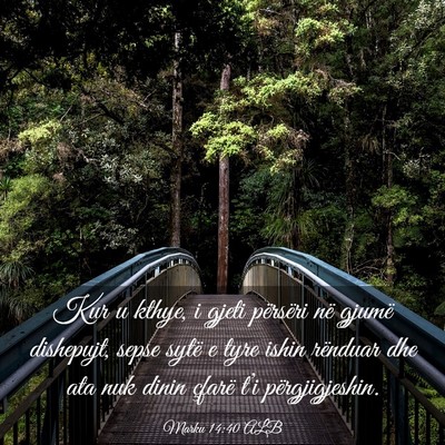 Picture 03 - Marku 14:40 ALB - Kur u kthye, i gjeti përsëri në gjumë - Bible Verse Picture