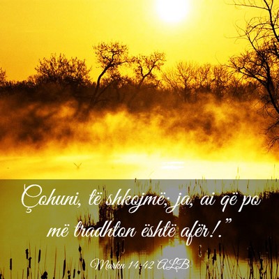 Picture 03 - Marku 14:42 ALB - Çohuni, të shkojmë; ja, ai që po më tradhton - Bible Verse Picture
