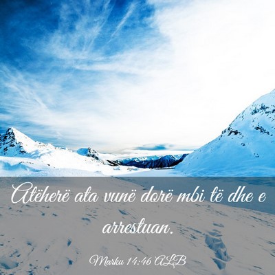 Picture 03 - Marku 14:46 ALB - Atëherë ata vunë dorë mbi të dhe e - Bible Verse Picture