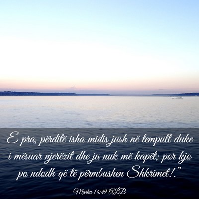 Picture 03 - Marku 14:49 ALB - E pra, përditë isha midis jush në tempull duke - Bible Verse Picture