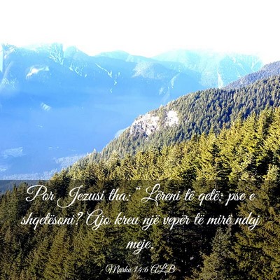 Picture 03 - Marku 14:6 ALB - Por Jezusi tha: “Lëreni të qetë; pse e - Bible Verse Picture