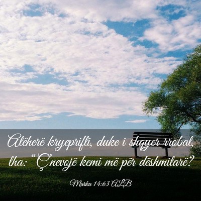 Picture 03 - Marku 14:63 ALB - Atëherë kryeprifti, duke i shqyer rrobat, tha: - Bible Verse Picture