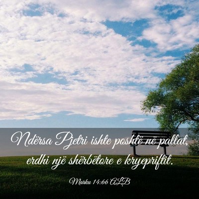 Picture 03 - Marku 14:66 ALB - Ndërsa Pjetri ishte poshtë në pallat, erdhi - Bible Verse Picture