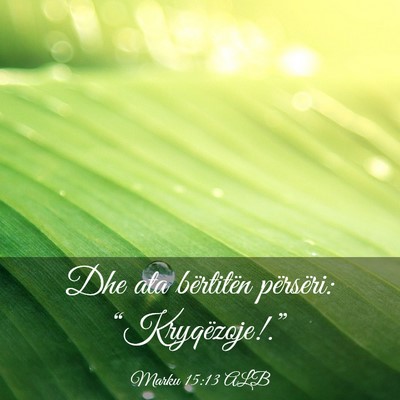 Picture 03 - Marku 15:13 ALB - Dhe ata bërtitën përsëri: - Bible Verse Picture