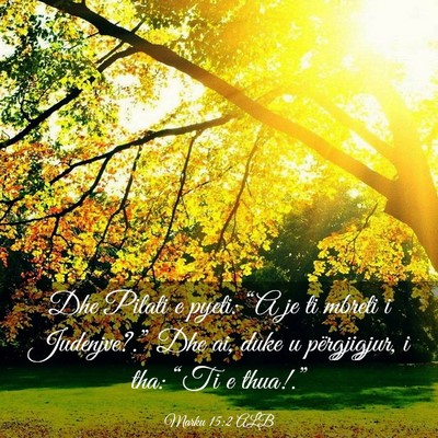 Picture 03 - Marku 15:2 ALB - Dhe Pilati e pyeti: “A je ti mbreti i - Bible Verse Picture