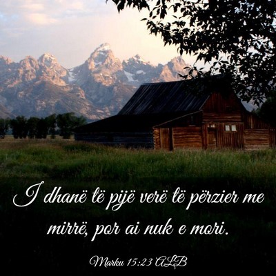 Picture 03 - Marku 15:23 ALB - I dhanë të pijë verë të përzier me mirrë, - Bible Verse Picture