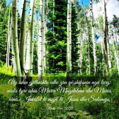 Picture 03 - Marku 15:40 ALB - Aty ishin gjithashtu edhe gra që shikonin nga - Bible Verse Picture