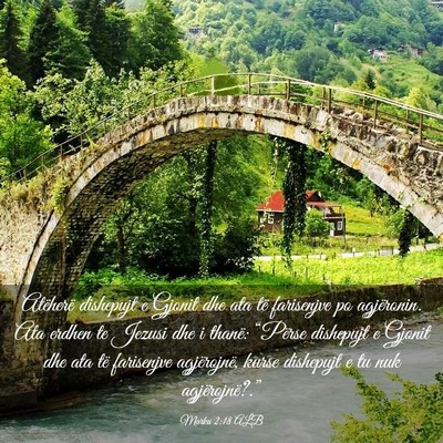 Picture 03 - Marku 2:18 ALB - Atëherë dishepujt e Gjonit dhe ata të - Bible Verse Picture