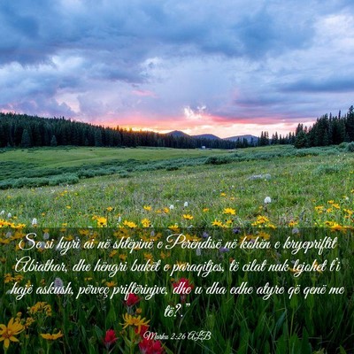 Picture 03 - Marku 2:26 ALB - Se si hyri ai në shtëpinë e Perëndisë në - Bible Verse Picture
