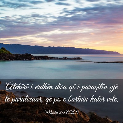 Picture 03 - Marku 2:3 ALB - Atëhërë i erdhën disa që i paraqitën një - Bible Verse Picture
