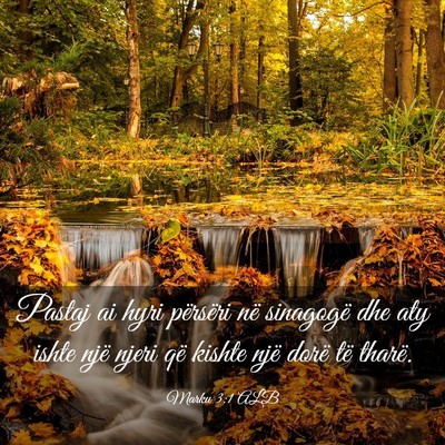 Picture 03 - Marku 3:1 ALB - Pastaj ai hyri përsëri në sinagogë dhe aty - Bible Verse Picture