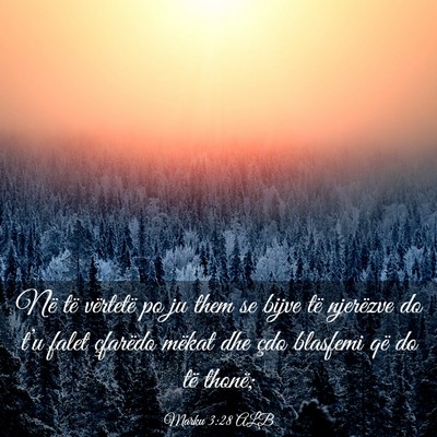 Picture 03 - Marku 3:28 ALB - Në të vërtetë po ju them se bijve të - Bible Verse Picture