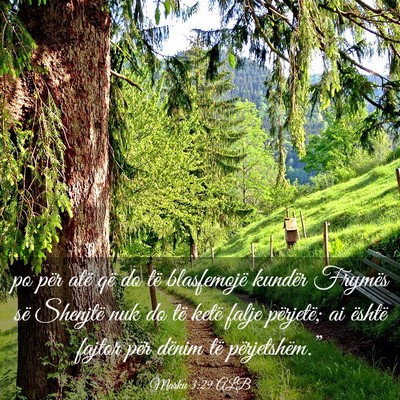Picture 03 - Marku 3:29 ALB - po për atë që do të blasfemojë kundër - Bible Verse Picture